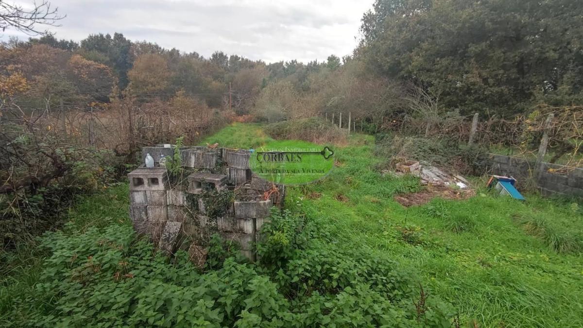 Terreno en venta en Coles, Ourense photo 2