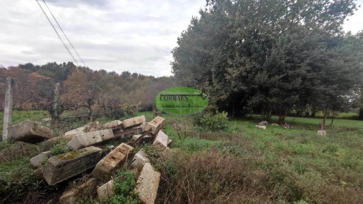 Terreno en venta en Coles, Ourense photo 3