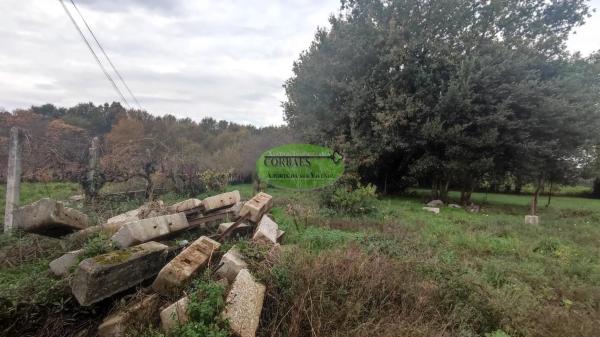 Terreno en Coles photo 3