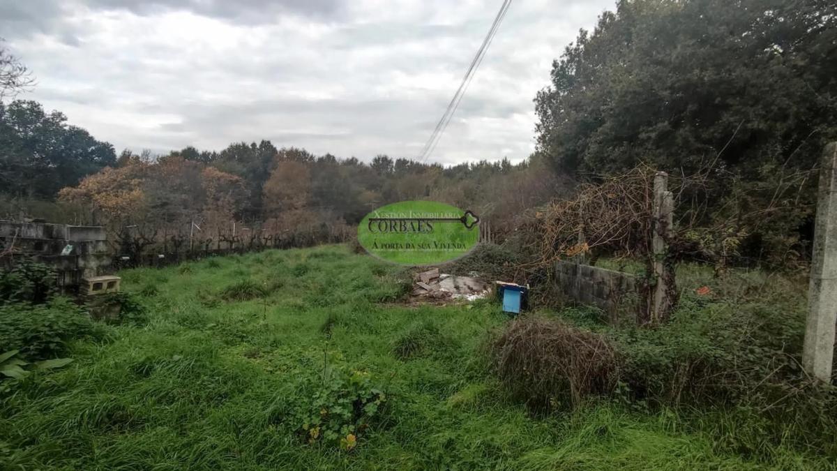 Terreno en venta en Coles, Ourense photo 5