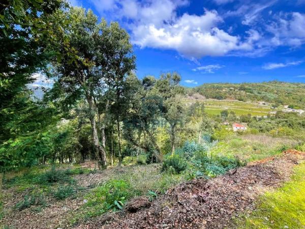 Terreno en Vilar de Astrés - Palmés - Arrabaldo photo 4