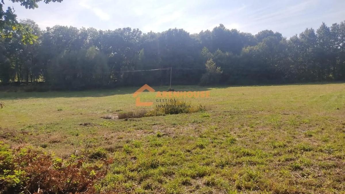 Terreno en venta en Pereiro de Aguiar, Ourense photo 2
