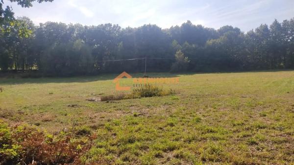 Terreno en Pereiro de Aguiar photo 2