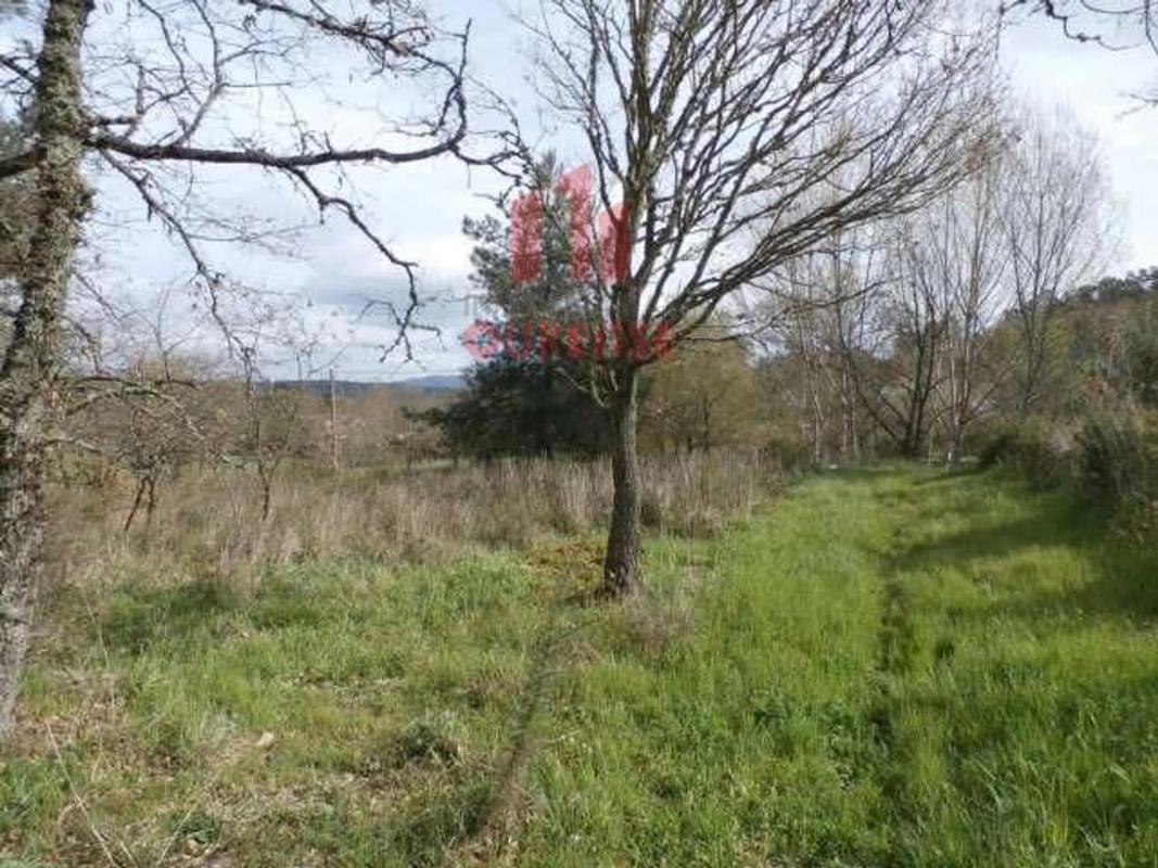 Terreno en venta en Pereiro de Aguiar, Ourense photo 3