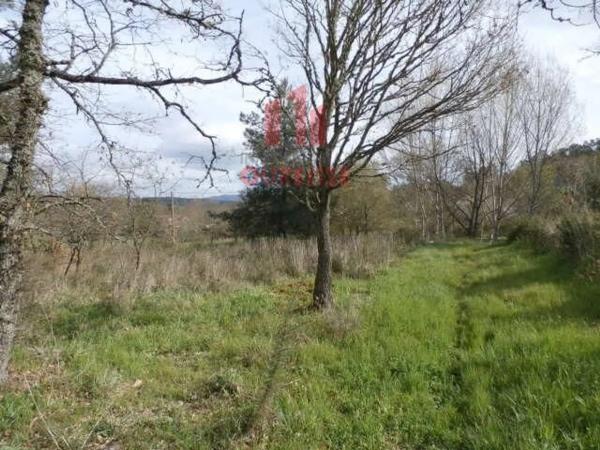 Terreno en Pereiro de Aguiar thumbnail 2