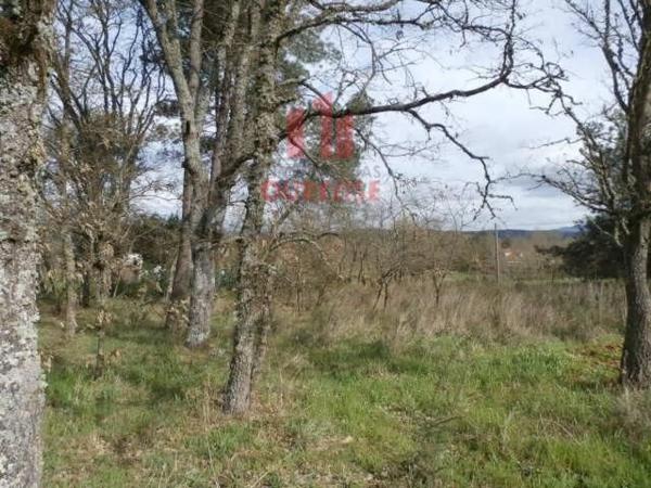 Terreno en Pereiro de Aguiar photo 4