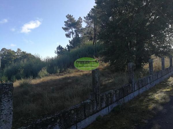 Terreno en Barbadas photo 2