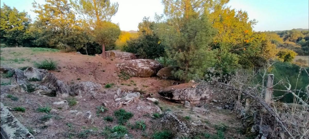 Land for sale in Pereiro de Aguiar, Ourense photo 1