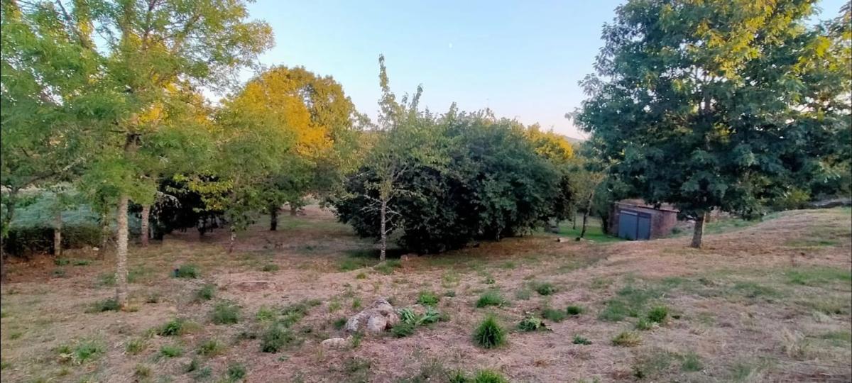 Land for sale in Pereiro de Aguiar, Ourense photo 3