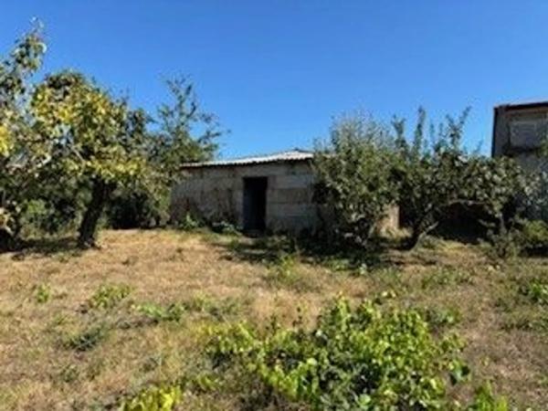 Terreno en Montelongo de Abaixo, km 8 photo 3