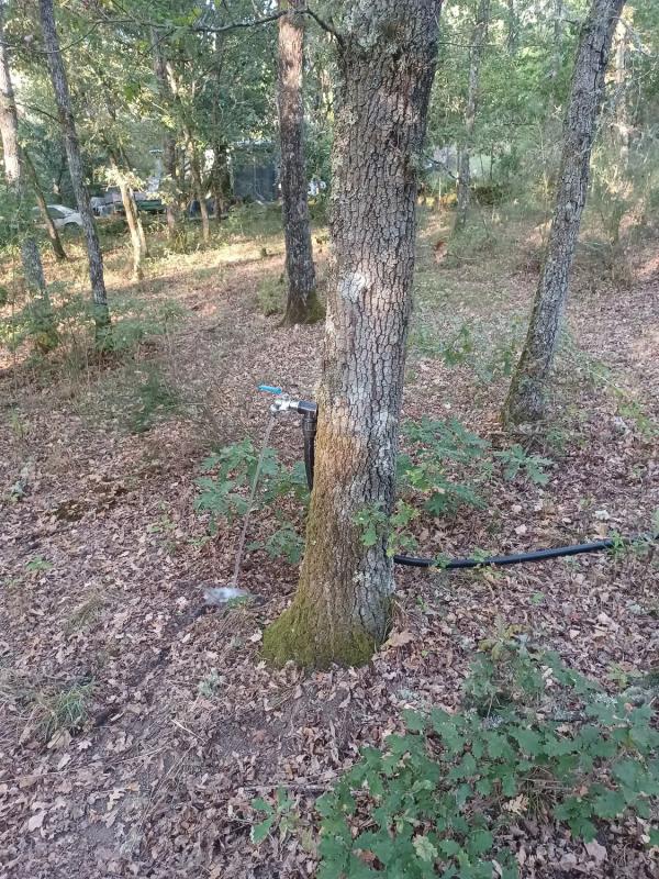 Land for sale in Pereiro de Aguiar, Ourense photo 1