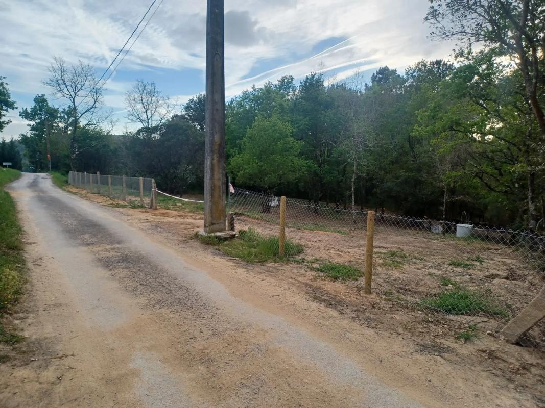 Land for sale in Pereiro de Aguiar, Ourense photo 2
