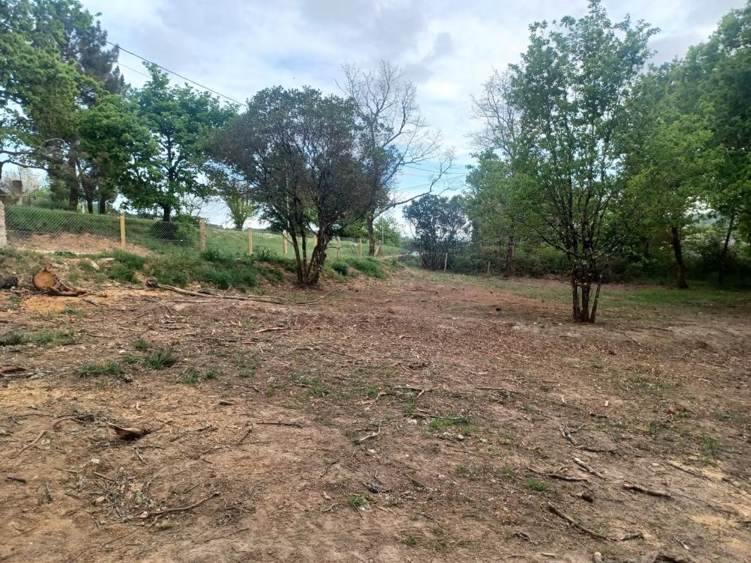 Land for sale in Pereiro de Aguiar, Ourense photo 3