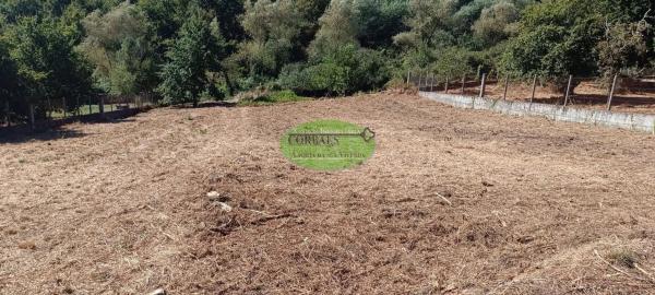 Terreno en Barbadas photo