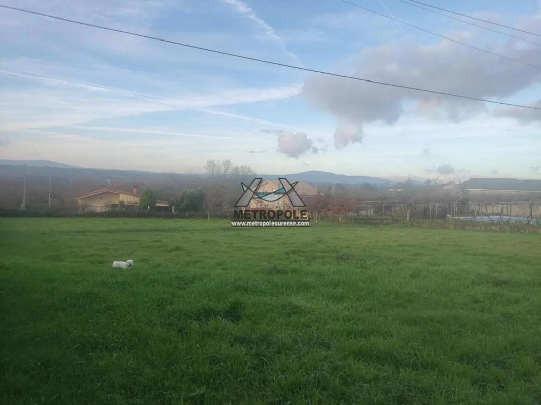 Terreno en venta en Amoeiro, Ourense photo 5