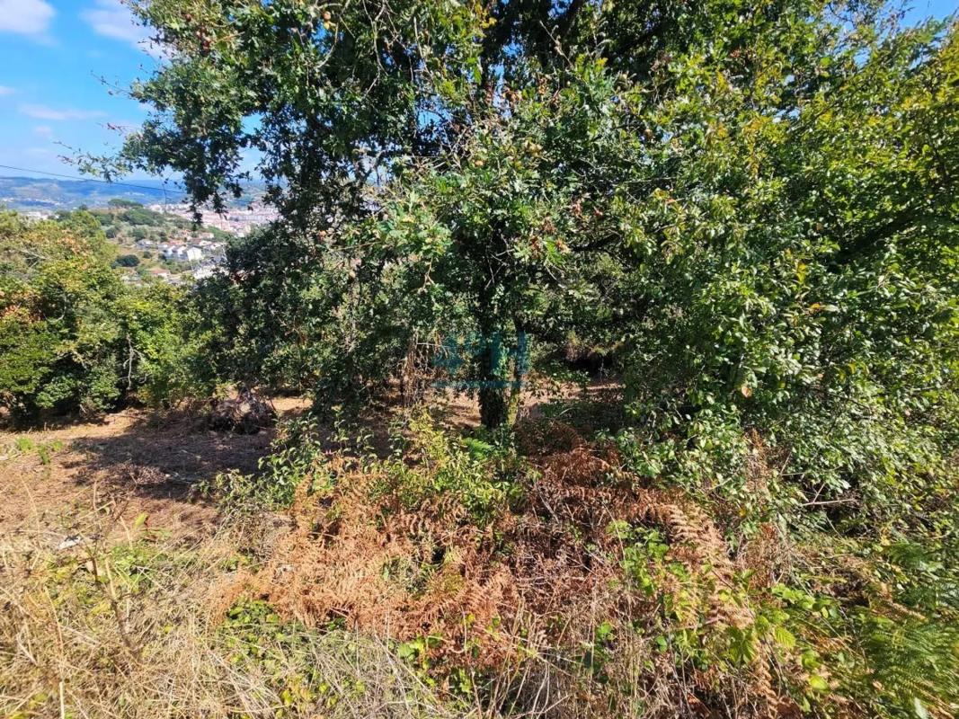 Terreno en venta en Barbadas, Ourense photo 3