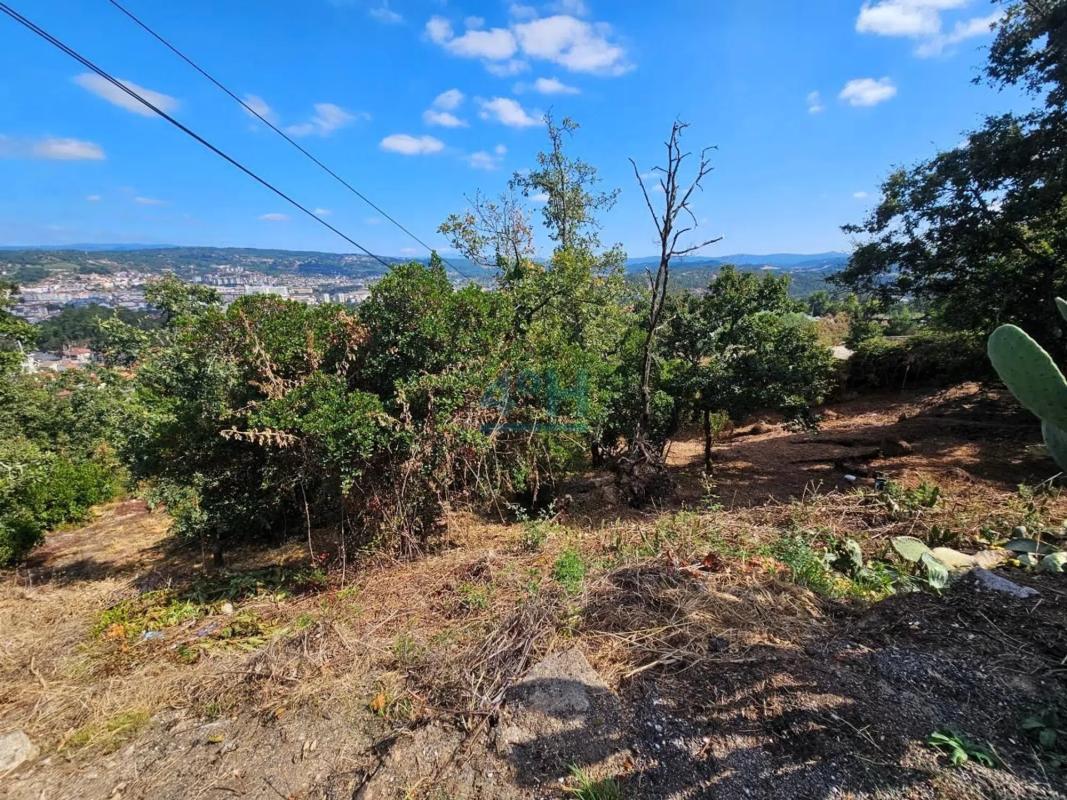 Terreno en venta en Barbadas, Ourense photo 5