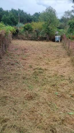 Terreno en ceboliño s/n cebolio photo 1