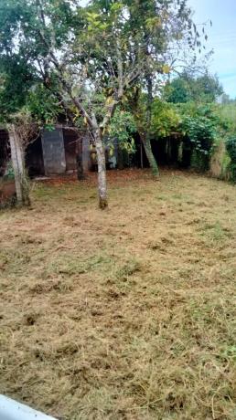 Terreno en ceboliño s/n cebolio photo 4