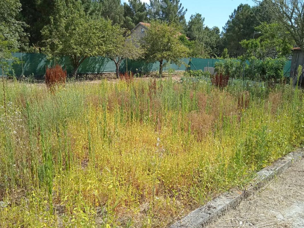 Terreno en venta en Barbadas, Ourense photo 1