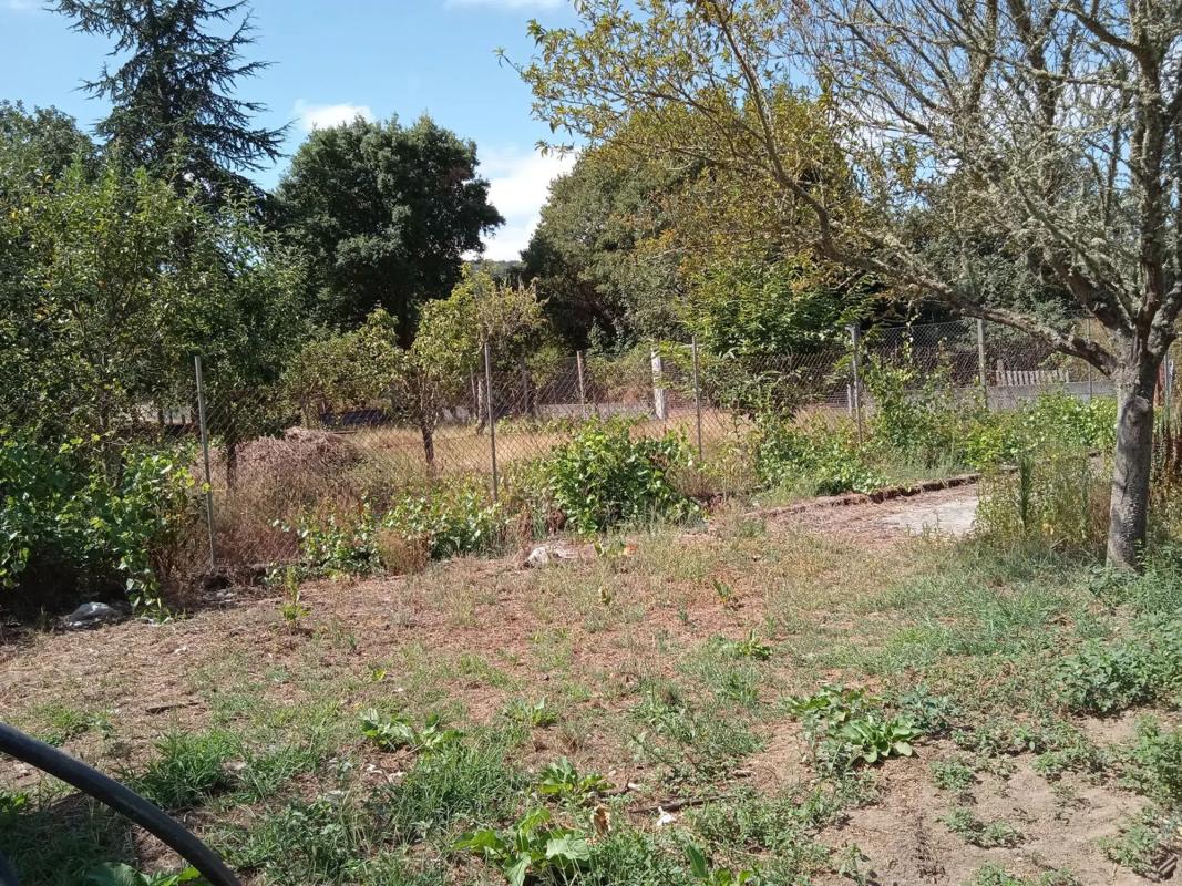 Terreno en venta en Barbadas, Ourense photo 3