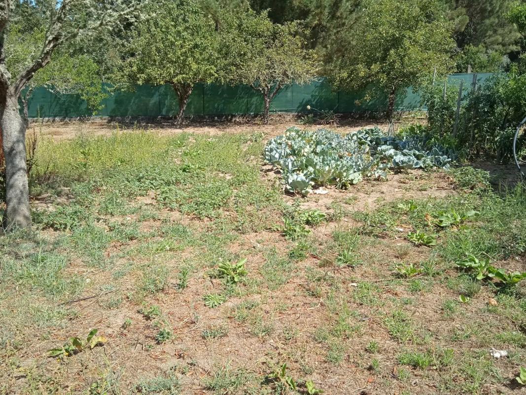 Terreno en venta en Barbadas, Ourense photo 4
