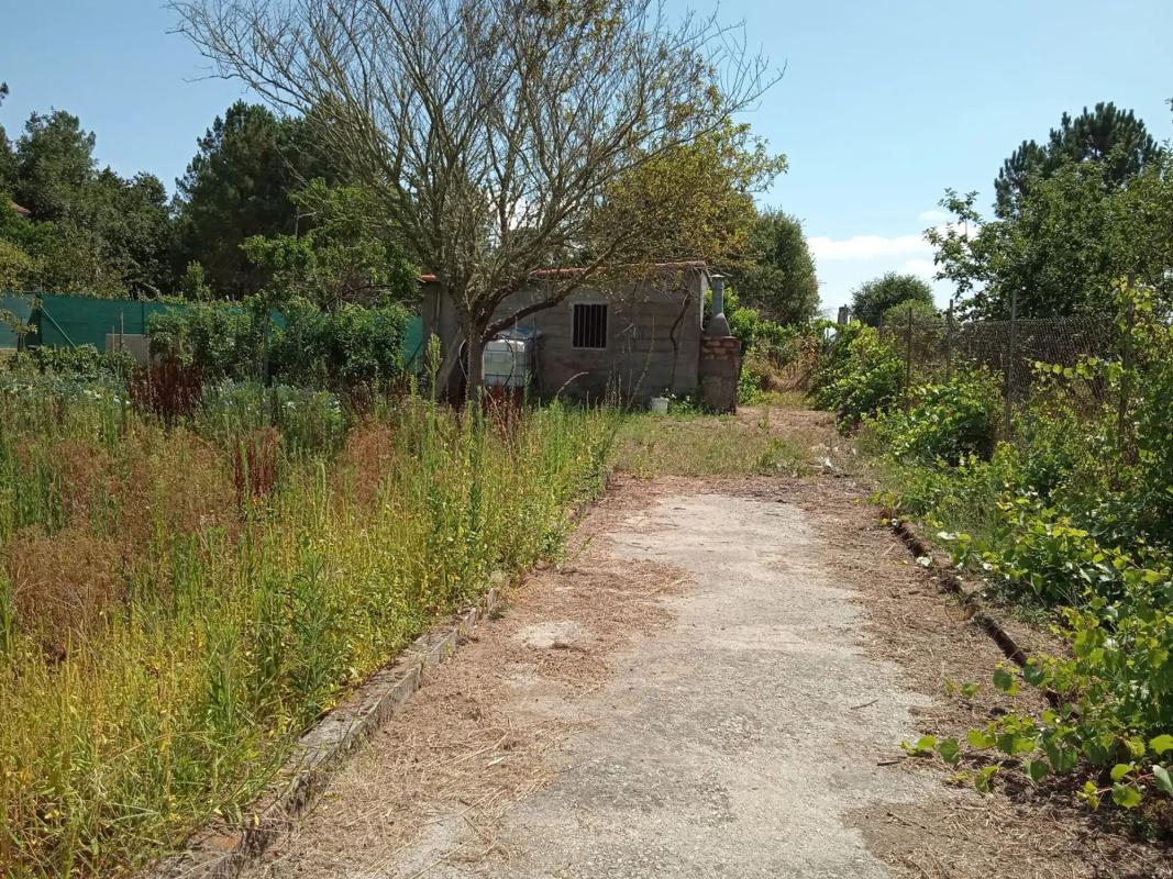 Terreno en venta en Barbadas, Ourense photo 5