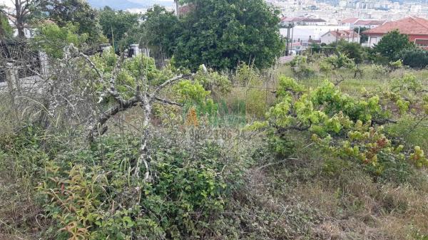 Terreno en A Carballeira photo 3