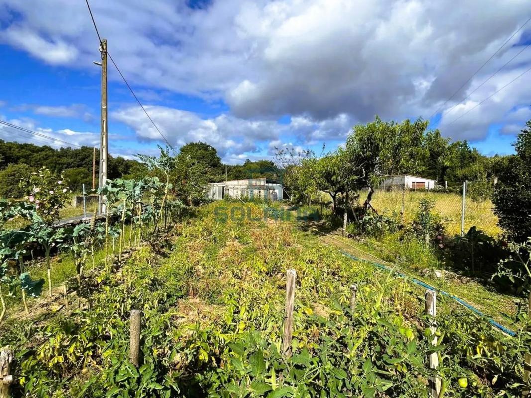 Участок земли на продажу в Перейру де Агурьар, Оренсе photo 4