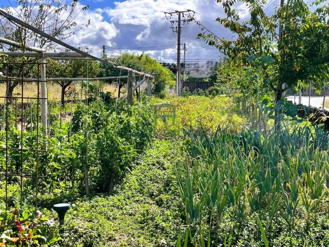 Участок земли на продажу в Перейру де Агурьар, Оренсе photo 5