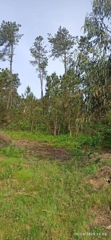 Terreno en venta en Toén, Ourense photo 3