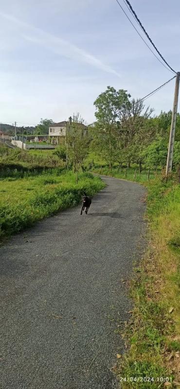 Terreno en venta en Toén, Ourense photo 4