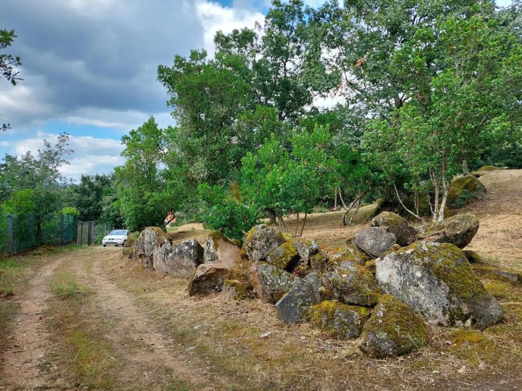 Участок земли на продажу в Орэнсе, Оренсе photo 1