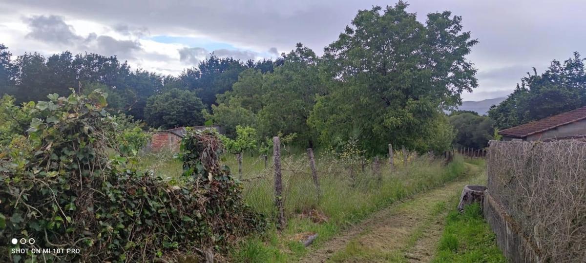 Terreno en venta en Amoeiro, Ourense photo 3