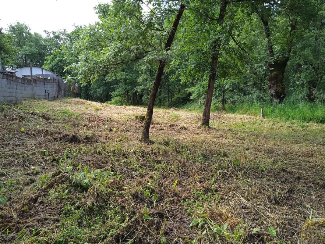 Terreno en venta en San Cibrao das Viñas, Ourense photo 3