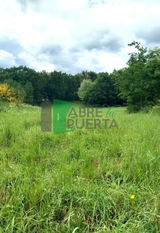 Terreno en Coles photo 2