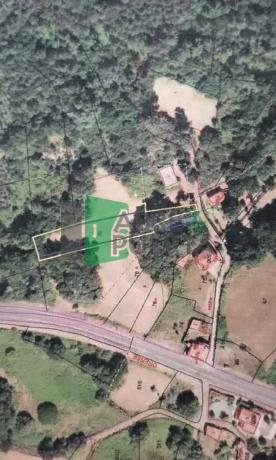 Terreno en Coles photo 3