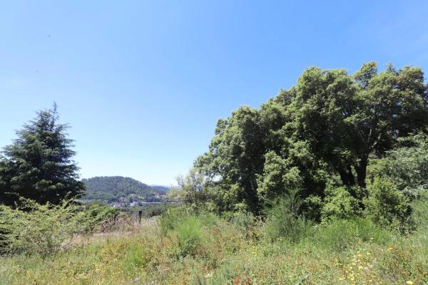 Terreno en Pereiro de Aguiar thumbnail 1