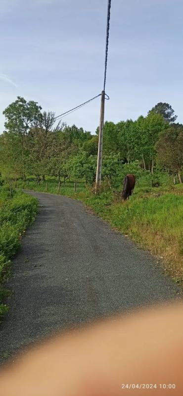 Terreno en venta en Toén, Ourense photo 5