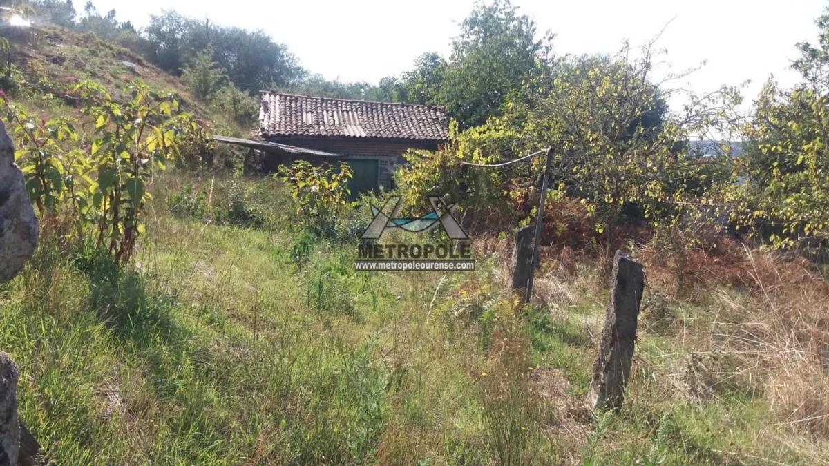 Działka na sprzedaż w Pereiro de Aguiar, Ourense photo 4