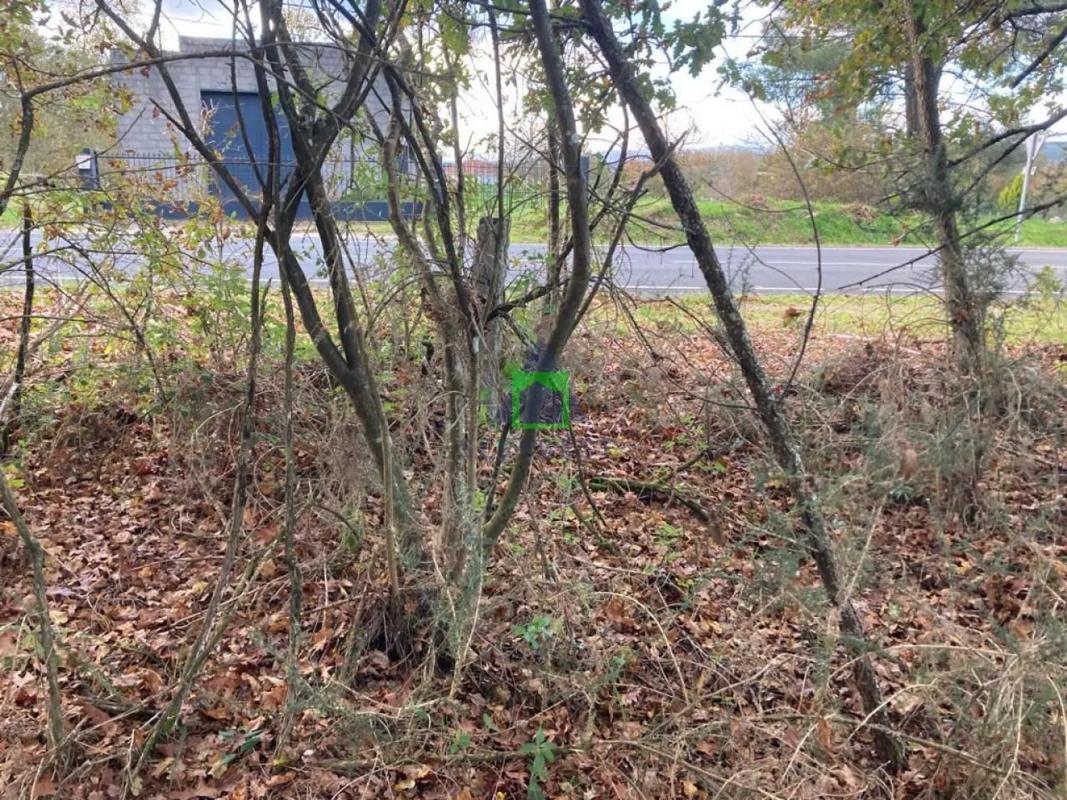 Terreno en venta en Vilamarin, Ourense photo 3