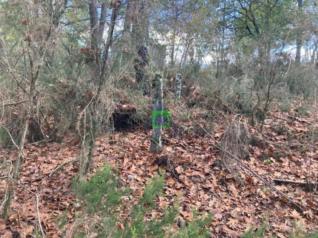 Terreno en venta en Vilamarin, Ourense photo 5