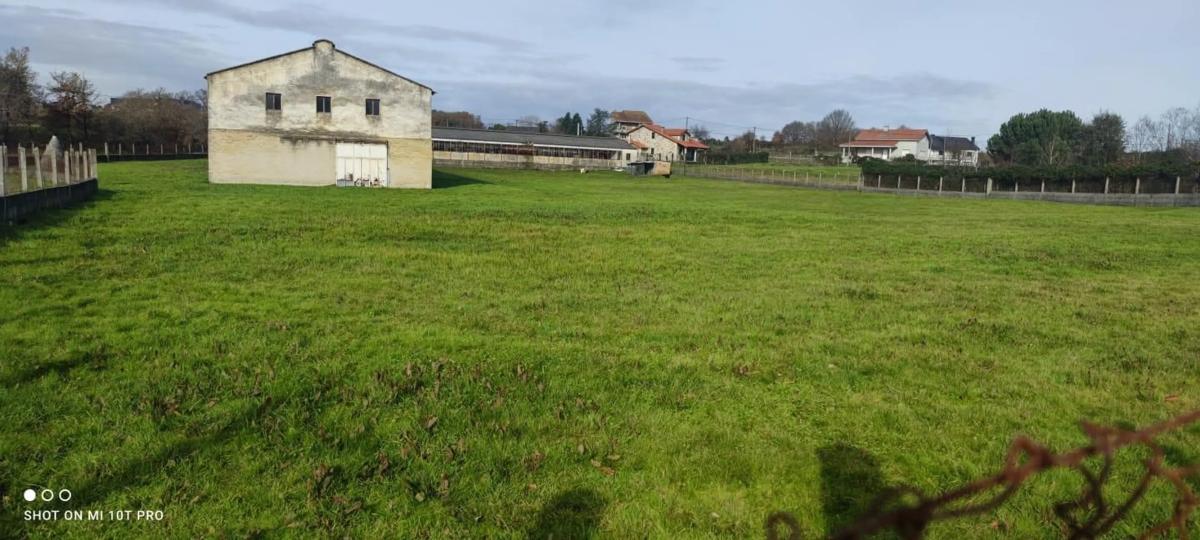 Terreno en venta en Pereiro de Aguiar, Ourense photo 1