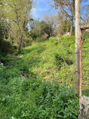 Terreno en avenida de Celanova, 134 photo 3