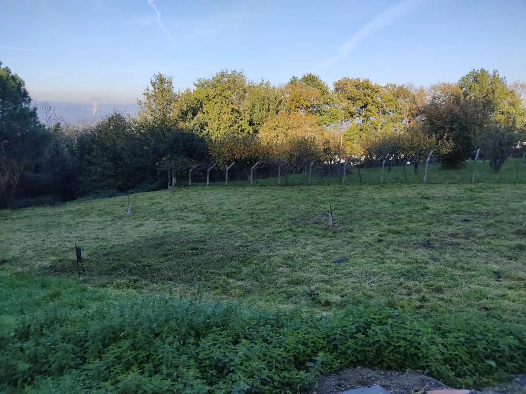 Land for sale in Taboadela, Ourense photo 3