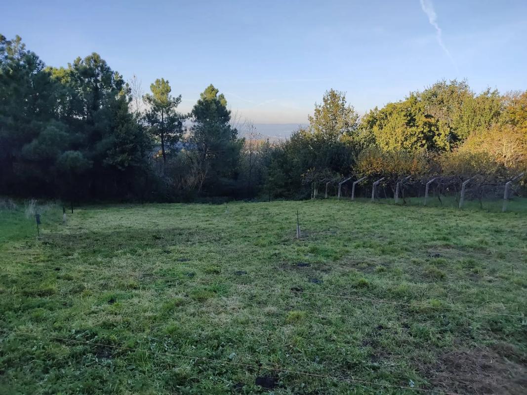 Land for sale in Taboadela, Ourense photo 4