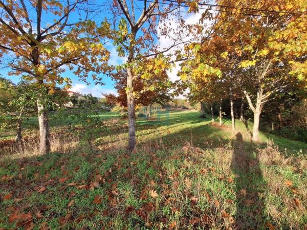 Terreno en Pereiro de Aguiar photo 2