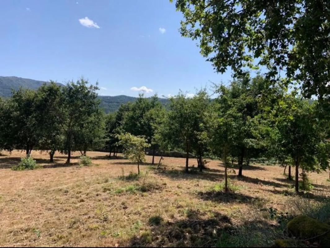 Terreno en venta en Coles, Ourense photo 3