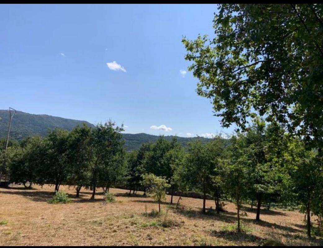 Terreno en venta en Coles, Ourense photo 4