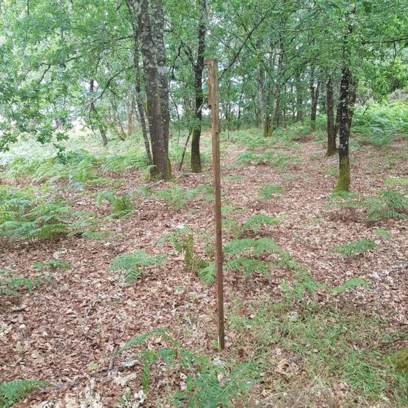 Terreno en venta en Coles, Ourense photo 5